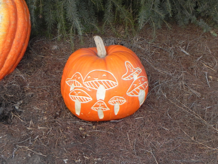 Pumpkin Carving Idea Mushrooms